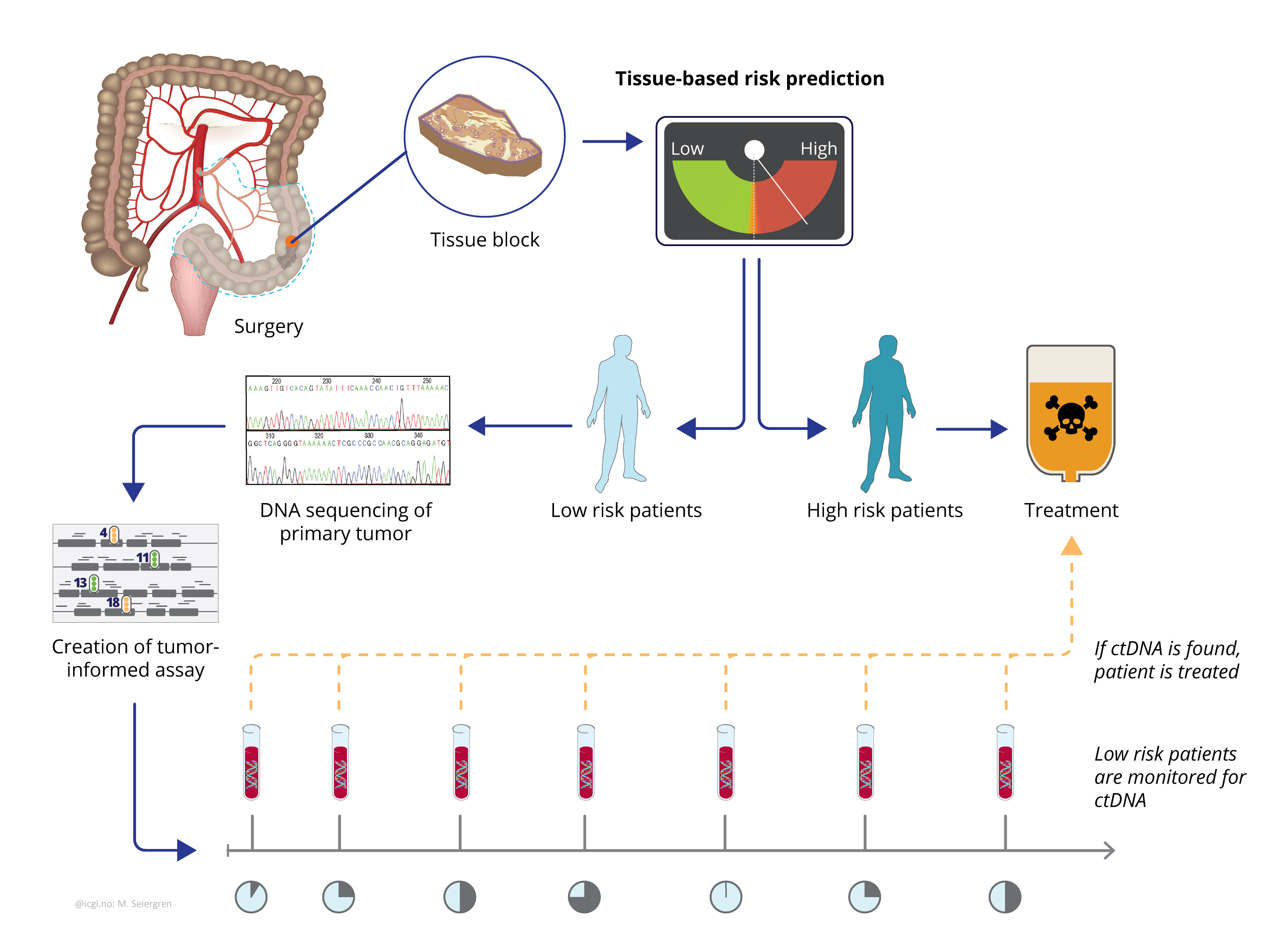 Illustration of patient management using the combination of tissue-based biomarkers and ctDNA